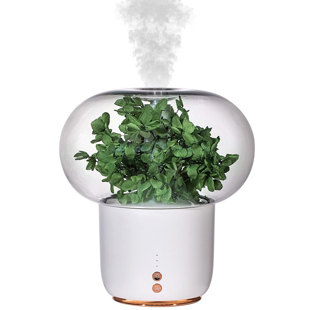 AGFKXO Eternal Flower Humidifier and Essential Oil Diffuser - Aromatherapy Humidifier with Colorful Night Light - Aromatherapy Diffusers Low Noise, Waterless Auto Shut-Off,Green