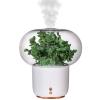 AGFKXO Eternal Flower Humidifier and Essential Oil Diffuser - Aromatherapy Humidifier with Colorful Night Light - Aromatherapy Diffusers Low Noise, Waterless Auto Shut-Off,Green view 1