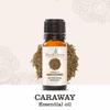 Caraway Essential Oil - Carum Carvi | 100% Pure, Natural, Therapeutic Grade Oils for Aromatherapy, Diffuser & DIY (15ML) view 2