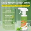 Electrolyzed Ion Kitchen Cleaner,Electrolyzed Ion Kitchen Cleaner Spray,Convenient Handheld Cleaner for Home Family (1PCS) (1pcs) view 2