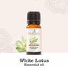 White Lotus Oil | 100% Pure, Undiluted and Natural | Therapeutic Grade Premium Essential Oils for Aromatherapy & Diffuser (30ML) view 2