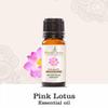 100% Pure Pink Lotus Essential Oil for Aromatherapy, Gifts, Diffusers, Home Care & DIY - 15 ML view 2