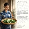 PANSIPTEA Jasmine Green Tea Gift Set, 18 Whole Leaf Tea Bags, First-Flush Spring Tea Naturally Scented 6 Times, Premium Mahjong-Inspired Gift Box for Tea Lovers view 3