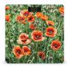 Red Poppy Flowers Leaves Scale for Body Weight Smart Scales Digital Bathroom Scale High Precision Weighing Scales with Large Display Weighing Machine for People view 1