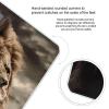 Angry Lion Scale for Body Weight Precision Bathroom Weighing Scales with Back Lit LCD Display Sturdy Tempered Glass Body Weight Scales Digital Bathroom Scale 400lb view 4