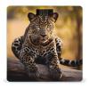 Africa Nature Leopard Scale for Body Weight Precision Bathroom Weighing Scales with Back Lit LCD Display Sturdy Tempered Glass Body Weight Scales Digital Bathroom Scale 400lb view 1