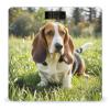 Basset Hound Scale for Body Weight Highly Accurate Digital Bathroom Body Scale Digital Bathroom Scales for People Anti-Slip Large LCD Display Smart Scales view 1
