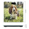 Basset Hound Scale for Body Weight Highly Accurate Digital Bathroom Body Scale Digital Bathroom Scales for People Anti-Slip Large LCD Display Smart Scales view 2