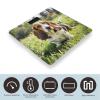 Basset Hound Scale for Body Weight Highly Accurate Digital Bathroom Body Scale Digital Bathroom Scales for People Anti-Slip Large LCD Display Smart Scales view 3