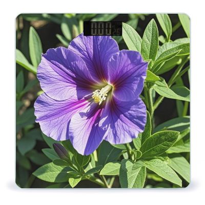 Purple Flower Scale for Body Weight Highly Accurate Digital Bathroom Body Scale Digital Bathroom Scales for People Anti-Slip Large LCD Display Smart Scales