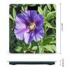 Purple Flower Scale for Body Weight Highly Accurate Digital Bathroom Body Scale Digital Bathroom Scales for People Anti-Slip Large LCD Display Smart Scales view 2