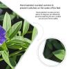 Purple Flower Scale for Body Weight Highly Accurate Digital Bathroom Body Scale Digital Bathroom Scales for People Anti-Slip Large LCD Display Smart Scales view 4