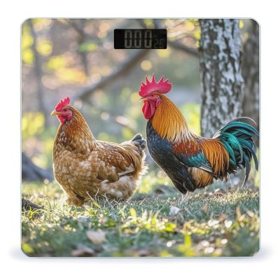 Beautiful Rooster Hen Scale for Body Weight Highly Accurate Digital Bathroom Body Scale Digital Bathroom Scales for People Anti-Slip Large LCD Display Smart Scales