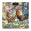 Beautiful Rooster Hen Scale for Body Weight Highly Accurate Digital Bathroom Body Scale Digital Bathroom Scales for People Anti-Slip Large LCD Display Smart Scales view 1