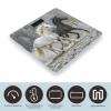 Black and White Horses Running Scale for Body Weight Highly Accurate Digital Bathroom Body Scale Digital Bathroom Scales for People Anti-Slip Large LCD Display Smart Scales view 3