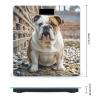 English-Bulldog Scale for Body Weight Highly Accurate Digital Bathroom Body Scale Digital Bathroom Scales for People Anti-Slip Large LCD Display Smart Scales view 2