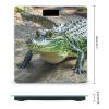 Crocodile Green Scale for Body Weight Highly Accurate Digital Bathroom Body Scale Digital Bathroom Scales for People Anti-Slip Large LCD Display Smart Scales view 2