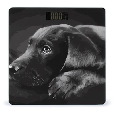 Black Labrador Puppy Scale for Body Weight Highly Accurate Digital Bathroom Body Scale Digital Bathroom Scales for People Anti-Slip Large LCD Display Smart Scales