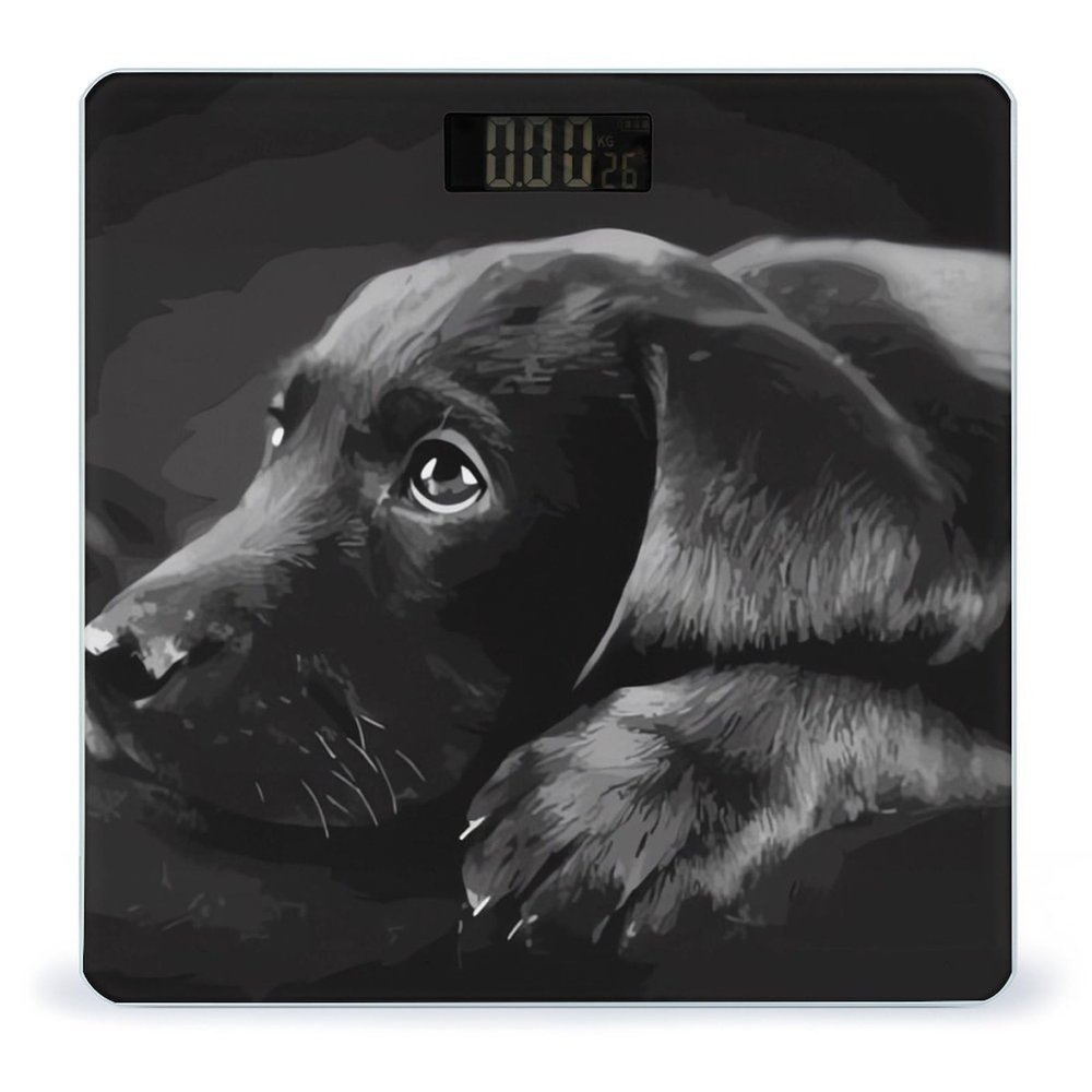 Black Labrador Puppy Scale for Body Weight Highly Accurate Digital Bathroom Body Scale Digital Bathroom Scales for People Anti-Slip Large LCD Display Smart Scales