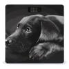 Black Labrador Puppy Scale for Body Weight Highly Accurate Digital Bathroom Body Scale Digital Bathroom Scales for People Anti-Slip Large LCD Display Smart Scales view 1