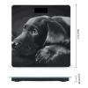 Black Labrador Puppy Scale for Body Weight Highly Accurate Digital Bathroom Body Scale Digital Bathroom Scales for People Anti-Slip Large LCD Display Smart Scales view 2