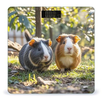 Two Guinea Pigs Hanging Out Scale for Body Weight Highly Accurate Digital Bathroom Body Scale Digital Bathroom Scales for People Anti-Slip Large LCD Display Smart Scales