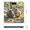 Two Guinea Pigs Hanging Out Scale for Body Weight Highly Accurate Digital Bathroom Body Scale Digital Bathroom Scales for People Anti-Slip Large LCD Display Smart Scales view 2