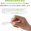 Strix Design SD-176 Disposable Dessert Spoons, 6000 Count (Set of 100 x 60), 3.3 inches (8.5 cm), Individual Packaging, For Desserts and Ice Spoons, Formulated with Vegetable Ingredients view 3