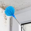 ARTSEWPLY Telescoping Cobweb Duster Brush with 2.3M Extension Pole, Washable Hard Bristle Ceiling Cleaner for High Ceilings and Fans, Sky Blue Indoor Outdoor Dusting Tool for Home Use view 4