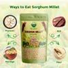 Danodia Foods Whole Grain Sorghum Millet 6.6 lb | 3 Packs x 2.2 lb each | Jowar Grain, Gluten-Free | Low GI, High Fiber & Protein | Healthy Rice Alternative for Super Healthy Diet | Bulk Value Pack view 4