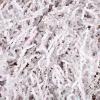 Abaodam Crinkle Paper Filler and Shredded Paper Box Stuffing, 2 Packs Colorful Raffia Basket Filler for Packaging, DIY Wrapping Supply for Valentine'S Day and Boxes view 4