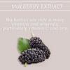 aj Pure Mulberry Extract Powder Skin Brightening 50gm view 4