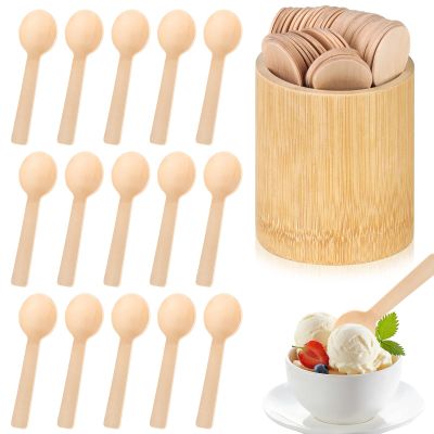 100 PCS Wooden Ice Cream Spoons with Bamboo Utensil Holder 4 Inch Mini Wooden Spoons Bulk Tasting Spoons Disposable Dessert Spoons Set Small Compostable Spoons Tiny Spoons for Party Eating Jars