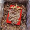 250 Grams Pure Natural Premium 15 Years Root Red Ginseng Slices Korean Ginseng Slices. view 3