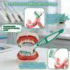 Denture Brush 2-Pack - Dual Head Denture Cleaner with Angled Bristles & Non-Slip Handle | Soft Nylon Brushes for Dentures, Retainers & Night Guards | Denture Care Kit for Seniors (blue/green) view 2