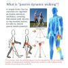 Bionic Exoskeleton Legs for Walking Assistance - Adjustable Strength (3 Levels) for Hiking & Stair Climbing - Mobility Aid Device for Adults & Elderly(Legs,Medium) view 2