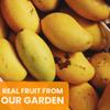 Cansy's Garden Chocolate Covered Mango | Soft Dried Mango Slices Dipped in Rich Dark Chocolate Non-GMO, Gluten-Free, Tropical Gourmet Snack, Individually Packed, Premium Fruit Snack 1.4 oz view 4