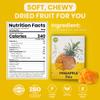 Cansy's Garden Soft Dried Pineapple Sweet & Tangy Tropical Fruit Snack, High in Fiber Vegan, Gluten-Free, Sealed Pouch Inside, for Smoothies, Yogurt, Desserts, On-the-Go Snack Pack 2.82 oz view 2