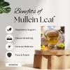 Organic Mullein Leaf 4oz | Cut & Sifted Dried Loose Leaf | Herbal Tea Caffeine Free, Non-GMO, Natural Antioxidant Source view 3