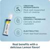 Ancient Nutrition Creatine + Collagen + Electrolytes Muscle Strength, Lean Body Mass, Joint Comfort & Cognitive Support Includes 5g Creatine Monohydrate for Women, Lemon (15 Servings) view 3