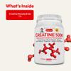 ANDREW LESSMAN Creatine 5000 Micronized Creatine Monohydrate. 120 Servings. Cellular Energy Muscle Strength & Growth. Brain Memory Cognition Athletic Performance. No Additives. Ultra-Pure Powder. view 3