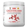 ANDREW LESSMAN Creatine 5000 Micronized Creatine Monohydrate. 60 Servings. Cellular Energy Muscle Strength & Growth. Brain Memory Cognition Athletic Performance. No Additives. Ultra-Pure Powder. view 1