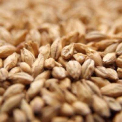 10LB Weyermann CARAFOAM German Malt - A specialty malt from Weyermann that adds body, foam retention, and beer stability
