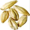 10LB Weyermann CARAFOAM German Malt - A specialty malt from Weyermann that adds body, foam retention, and beer stability view 2
