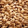 10LB Weyermann CARAFOAM German Malt - A specialty malt from Weyermann that adds body, foam retention, and beer stability view 4