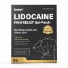 Sumifun Lidocaine Patches Maximum Strength 4% Lidocaine, Pain Relief Patches for Back, Neck, Knee, and Shoulders | Large Size and Long Lasting | Soothes Nerves, Joints, and Injuries (large, Count, 26) view 1