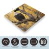 American Bald Eagle Bathroom Scale for Body Weight Bathroom Digital Electronic Weighing Scale with Back Lit LED Display Sturdy Tempered Glass Weight Watchers Scales 400lb view 3