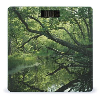 an Ancient Swamp Bathroom Scale Ultra-Bright Liquid Crystal Screen Weight Scale Accurate Bathroom Body Scales for Body Weight Bathroom Pet Home Bedroom Gift-Giving