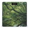 an Ancient Swamp Bathroom Scale Ultra-Bright Liquid Crystal Screen Weight Scale Accurate Bathroom Body Scales for Body Weight Bathroom Pet Home Bedroom Gift-Giving view 1
