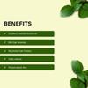 aj Sidr Pow.der Natural Hair Cleanser, Ziziphus Jujuba Leaves, 100 gms view 4